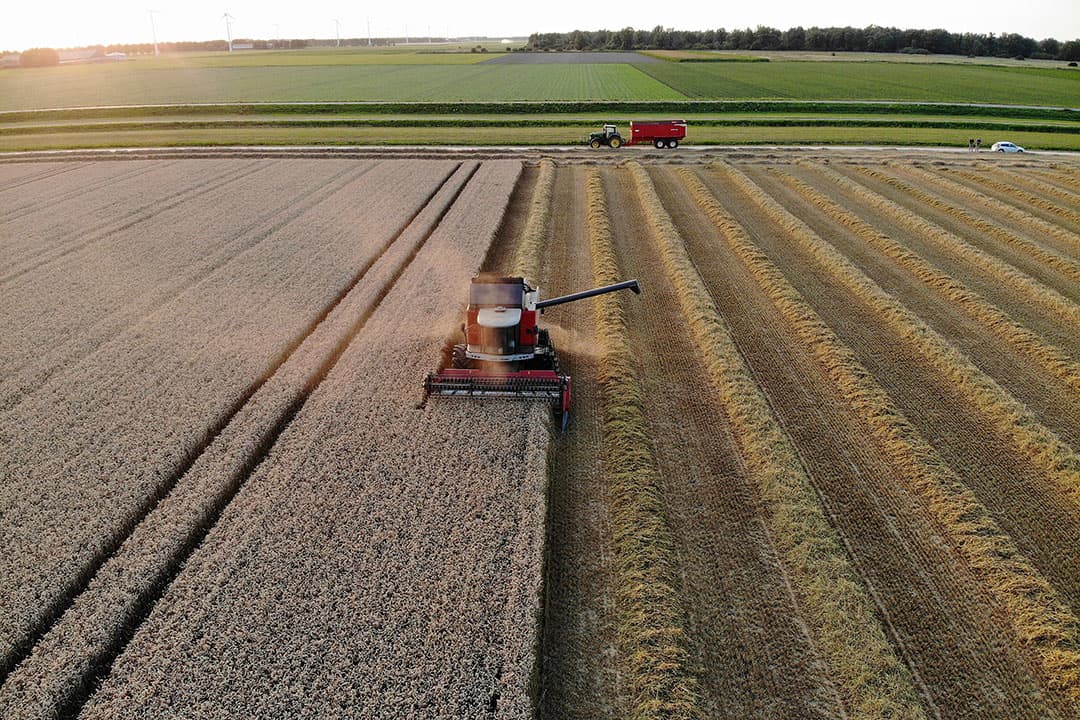 In de IJsselmeerpolders steeg de regionorm door naar € 1.318 per hectare. Het is daarmee veruit de hoogste pachtprijs van Nederland. - Foto: Hans Prinsen