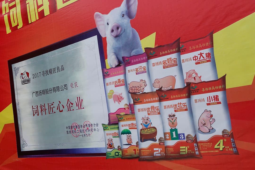 De Chinese markt is tijdelijk overspoeld met varkensvlees. De verwachting is dat China de komende jaren veel varkensvlees en slachterijbijproducten blijft importeren. - Foto: Henk Riswick