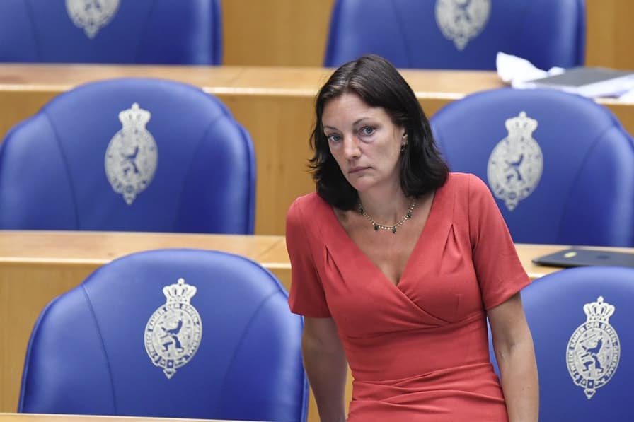 Kamer wil verbod op doden eendagshaantjes