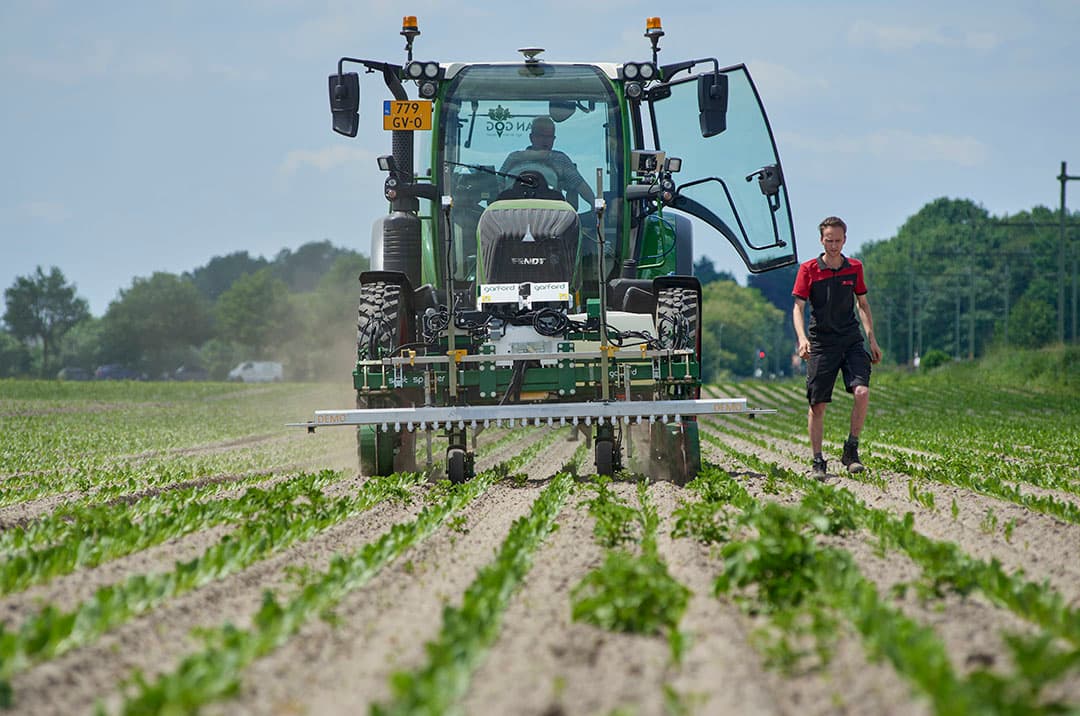 Voor onkruidbestrijding tussen de rijen test Homburg momenteel een nieuwe versie van de Garford SpotSprayer. Deze moet dankzij meer en andere spuitdoppen wél geschikt zijn voor Nederlandse omstandigheden. Hier een demo op een perceel cichorei in Baexem (L.) waar Cosun haar eerste onkruidplatform heeft. - Foto: Van Assendelft Fotografie