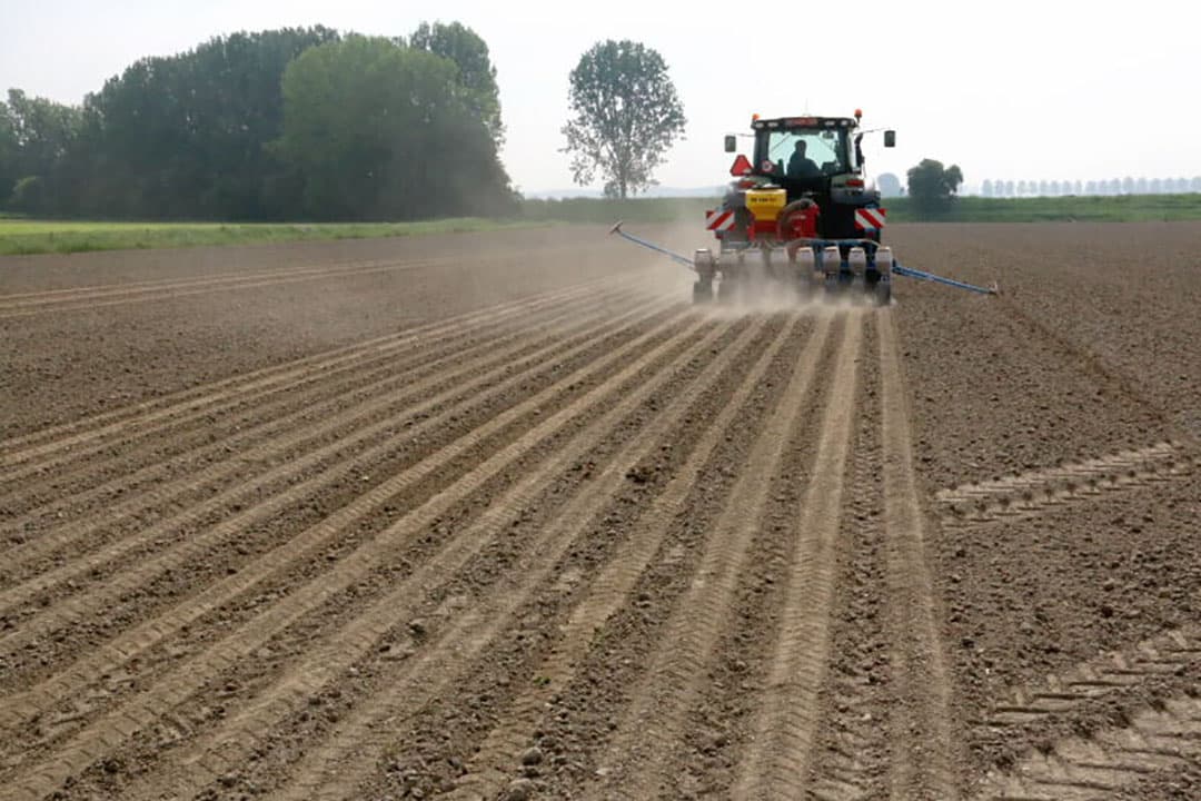 Voor maatschap Leys uit het Belgische Kieldrecht zaait loonbedrijf van Wesemael uit Nieuw-Namen een perceel bruine bonen van het ras Narda bij Terhole in Zeeuws-Vlaanderen. - Foto’s: Anton Dingemanse