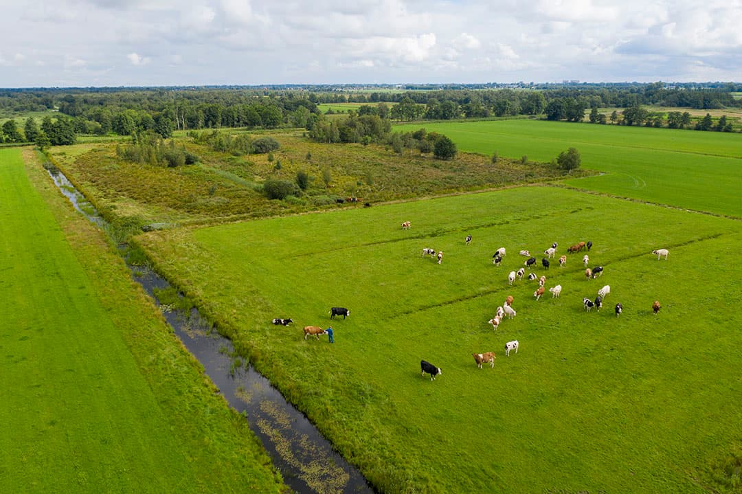 Foto: Anne van der Woude