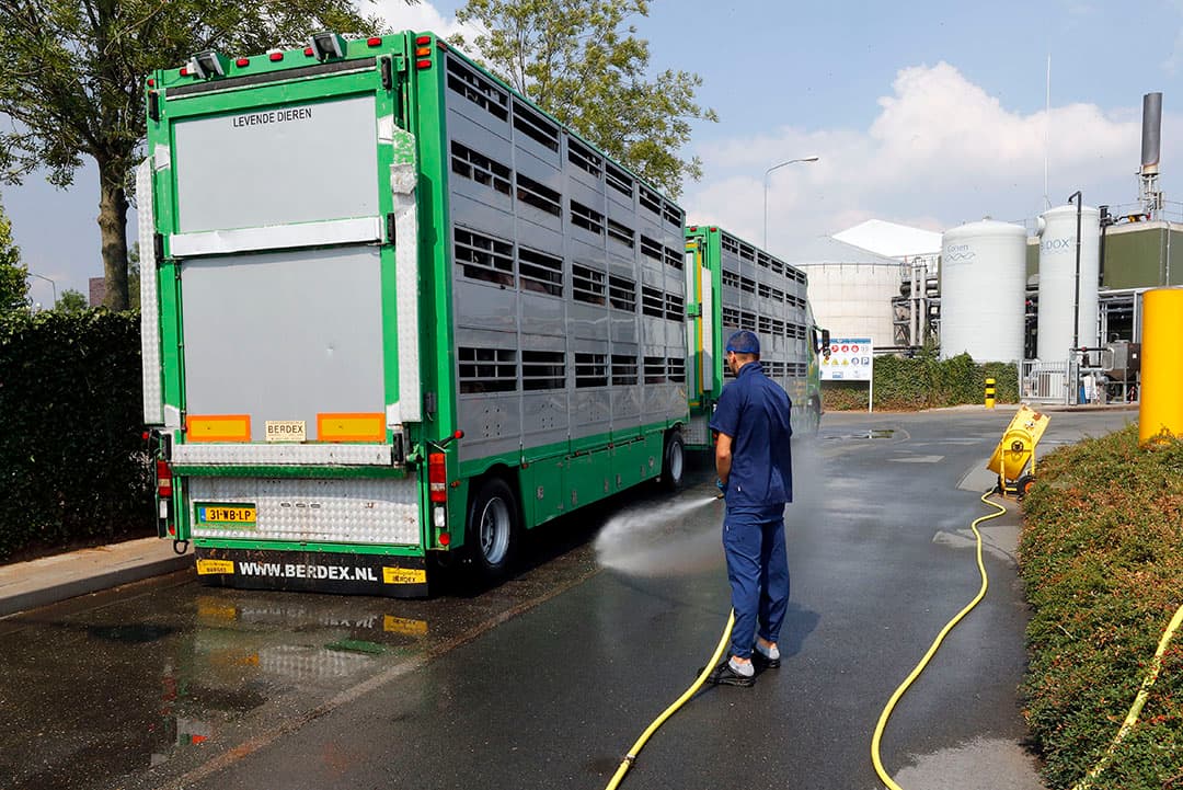 Hittebestrijding bij de slachterij van Vion. - Foto: Bert Jansen