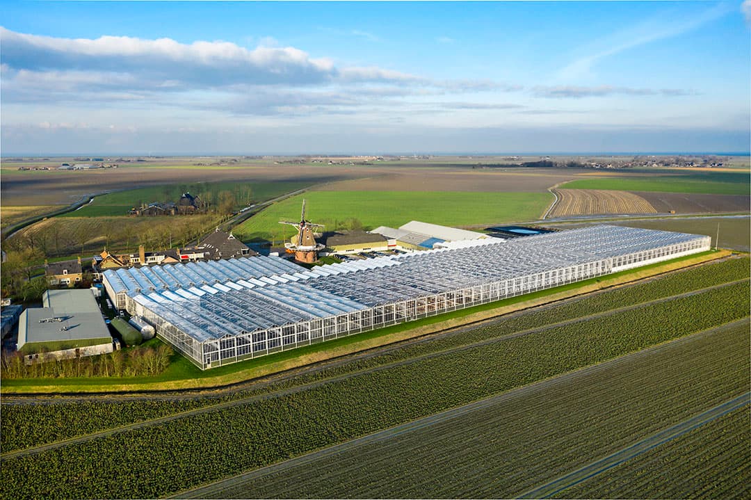 De afdeling research en veredeling van HZPC is gevestigd in Metslawier. - Foto: Ruud Ploeg