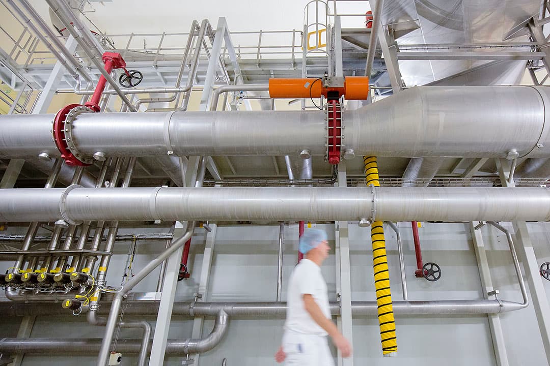 Weibewerkingsfabriek van DMK. Foto: DMK