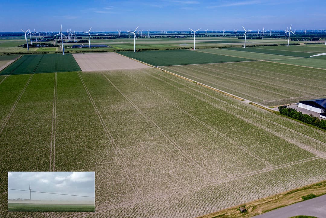 Akkerbouwers Martin de Visser en Jan van Bavel in Lelystad hebben op zware kleigrond schade in hun uien en suikerbieten door stofstormen op 22 mei. De baan die de wind schuin over de kavel trok is in het gewas nog duidelijk te zien. - Foto's: Sytze Bakker
