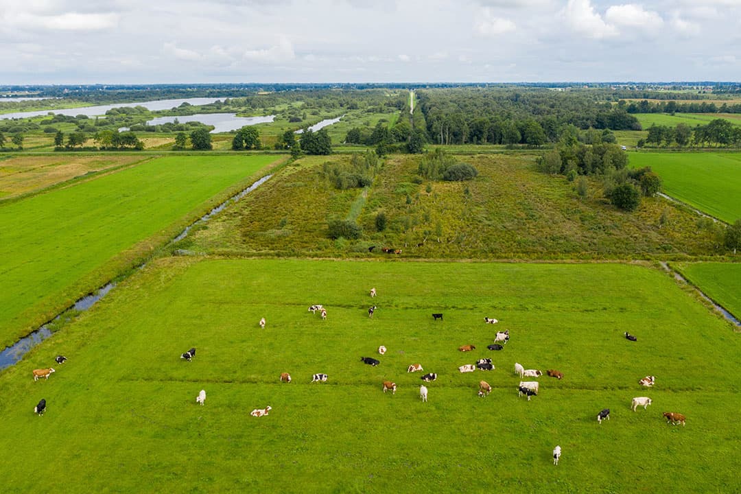 Foto: Anne van der Woude