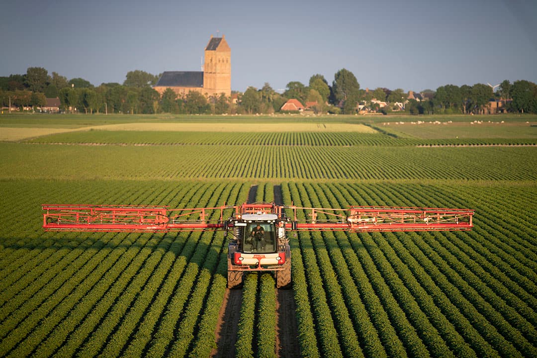 Op een zomeravond gaat akkerbouwer Boate Terpstra met de veldspuit door de aardappels. In het Friese Marrum beschermt hij zijn Spunta’s tegen de schimmelziekte phytophthora. Daarbij zitten er ook nog de benodigde vitaminen en mineralen in de douche die de piepers krijgen. - Foto: Mark Pasveer