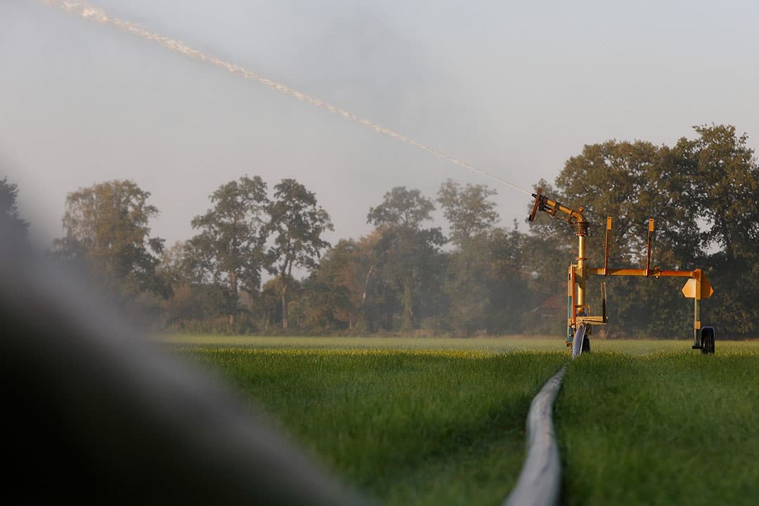 Foto: Hans Prinsen
