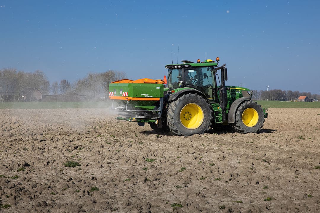 Kunstmeststrooien voor basisbemesting zaaiuien, de hoeveelheid verschilt per grondsoort. - Foto: Peter Roek