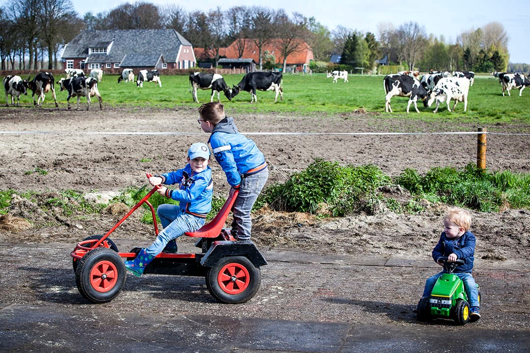 Met al die ruimte is een boerenerf een geweldige speelplek maar het is er ook gevaarijk. - Foto: ANP