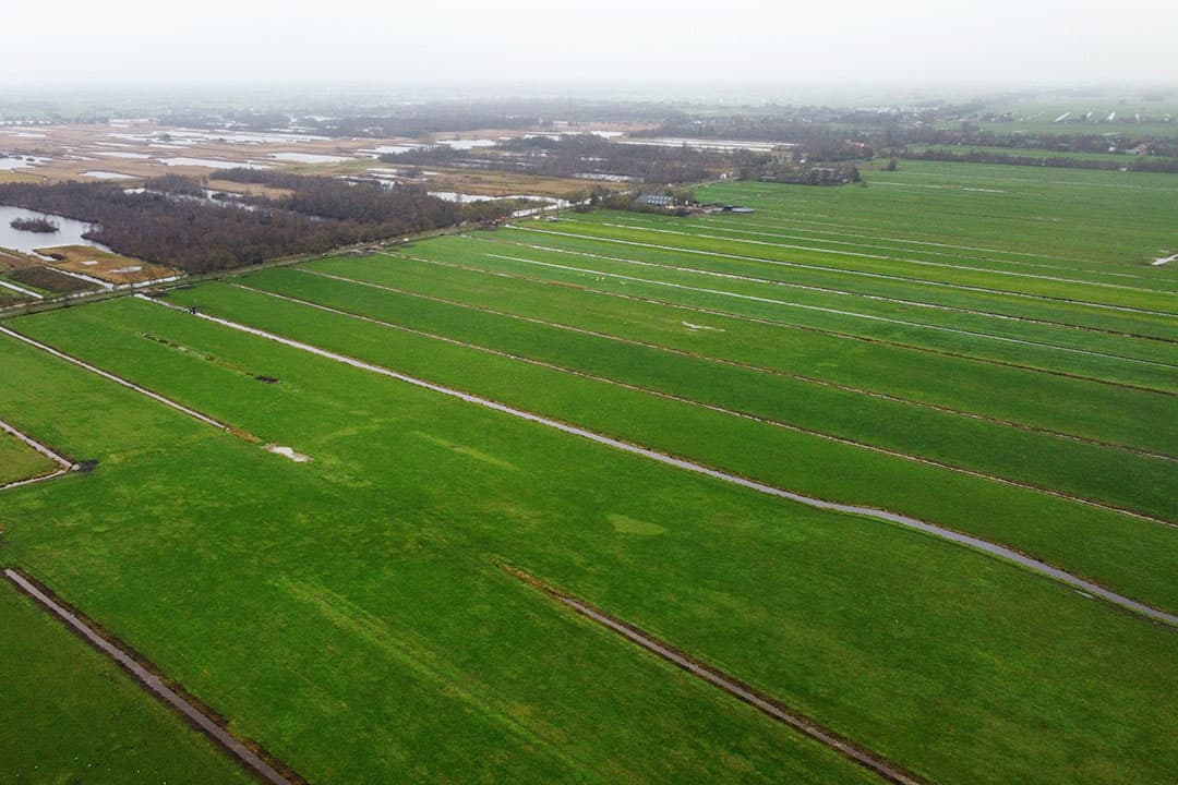 Boerenbedrijven grenzen aan Natura 2000-gebied Nieuwkoopse Plassen en De Haeck. Natuurbeheer staat niet ter discussie in het stikstofdebat, de veehouderij wel, schrijft columnist Piet Faber. - Foto: Herbert Wiggerman