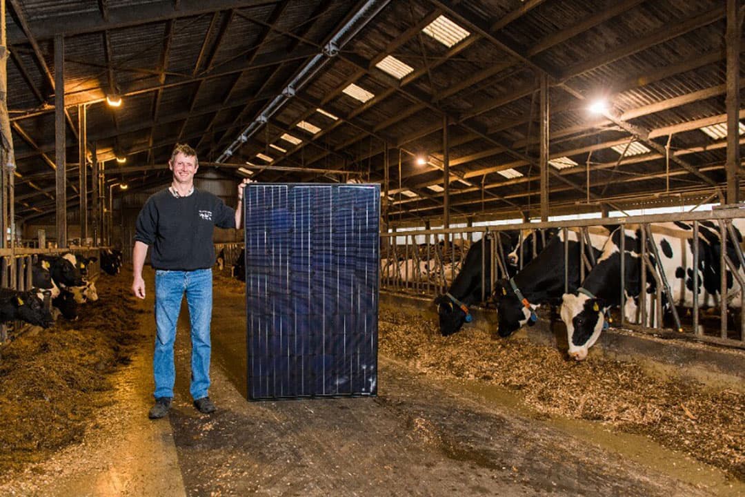 Marc Gerritsen wilde graag zonnepanelen op het dak van zijn melkveebedrijf, maar zijn bedrijf bleek te klein om voor een grootschalig bedrijfsproject in aanmerking te komen, en te groot voor een particuliere aanbieder. Gelukkig waren er bij Zelfstroom wel mogelijkheden. - Foto: Zelfstroom