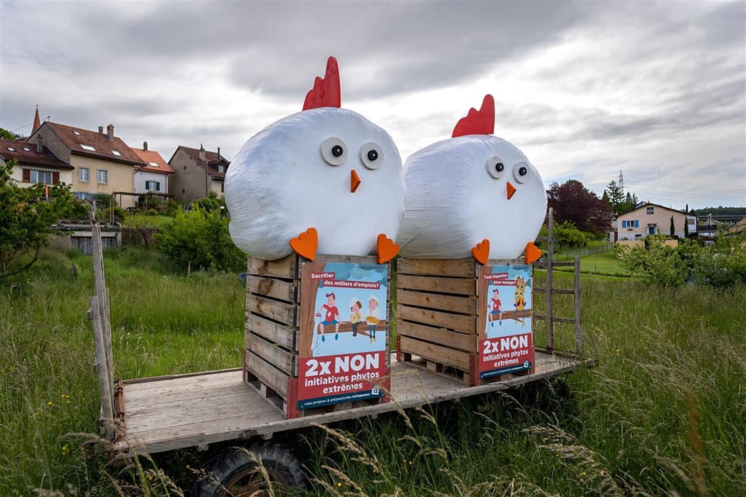 Zwitserse boeren uiten zich tegen een voorstel om alle synthetische pesticiden in de landbouw te verbieden. "Twee keer nee", staat er onder de als kip verklede hooibalen. - Foto: AFP