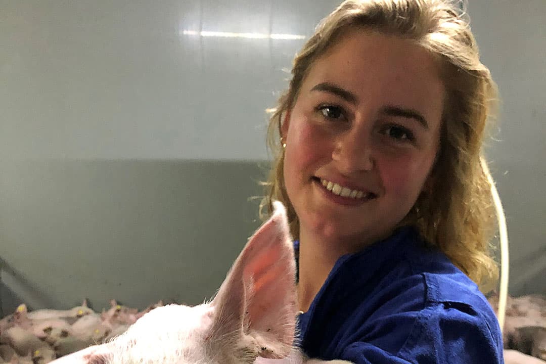 "Kraamzeugen hebben feitelijk het hele jaar door te maken met hittestress", zegt Kim Goedegebuure, technisch varkensspecialistvan Trouw Nutrition.