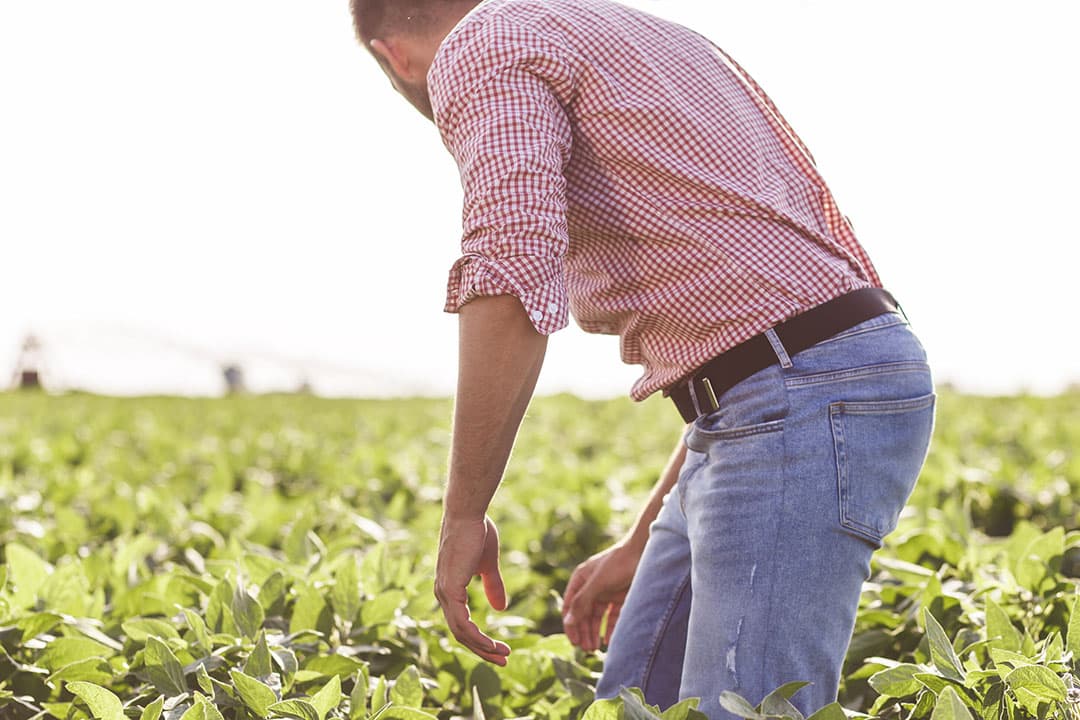 Een belangrijke wens van jonge boeren is dat de politiek vasthoudt aan een langetermijnvisie. - Foto: Canva/Zoran Zeremski