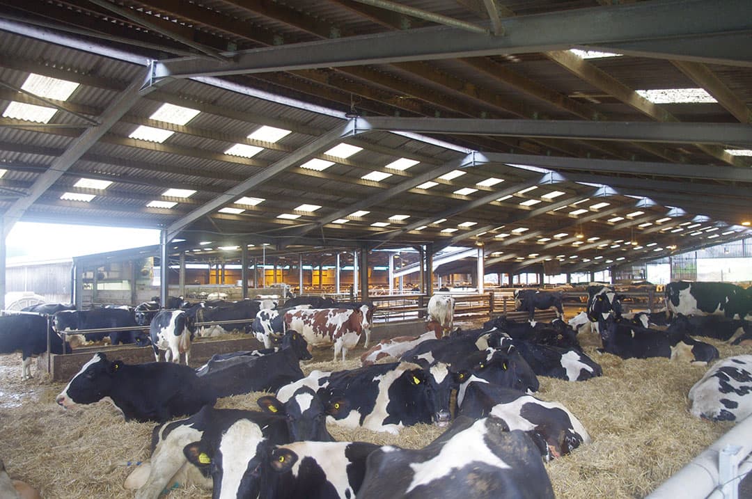 Foto: Boerderij