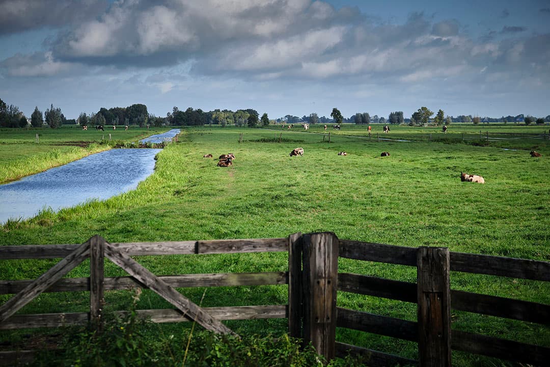 Foto: Roel Dijkstra