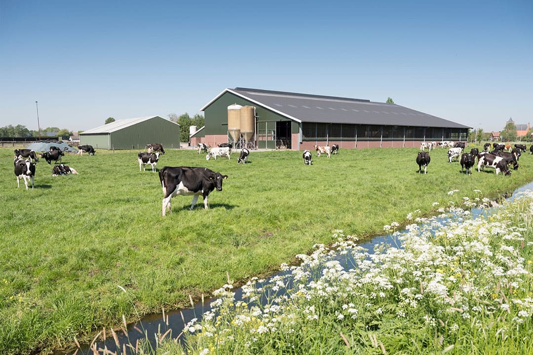 LTO Noord, LLTB en ZLTO verwachten dat een meer regionale uitvoering van de plattelandsontwikkeling-subsidies ook zou helpen bij de aanpak van regionale problemen, zoals bij de gebiedsgerichte aanpak stikstof.  - Foto: Canva