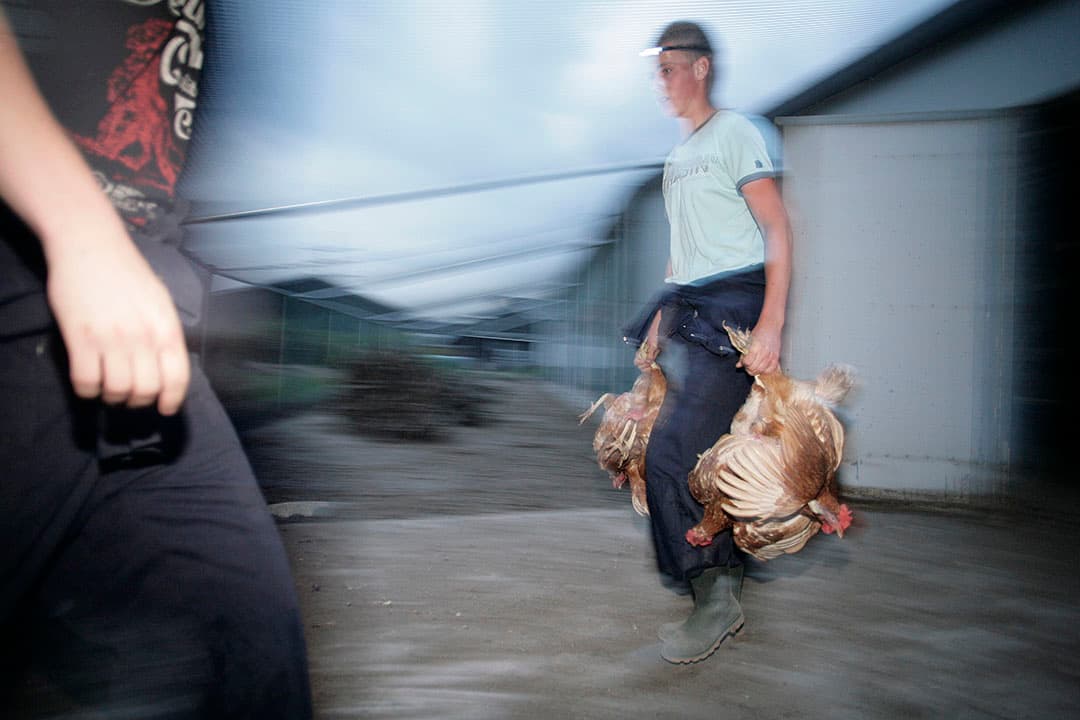 Foto: Ton Kastermans Fotografie
