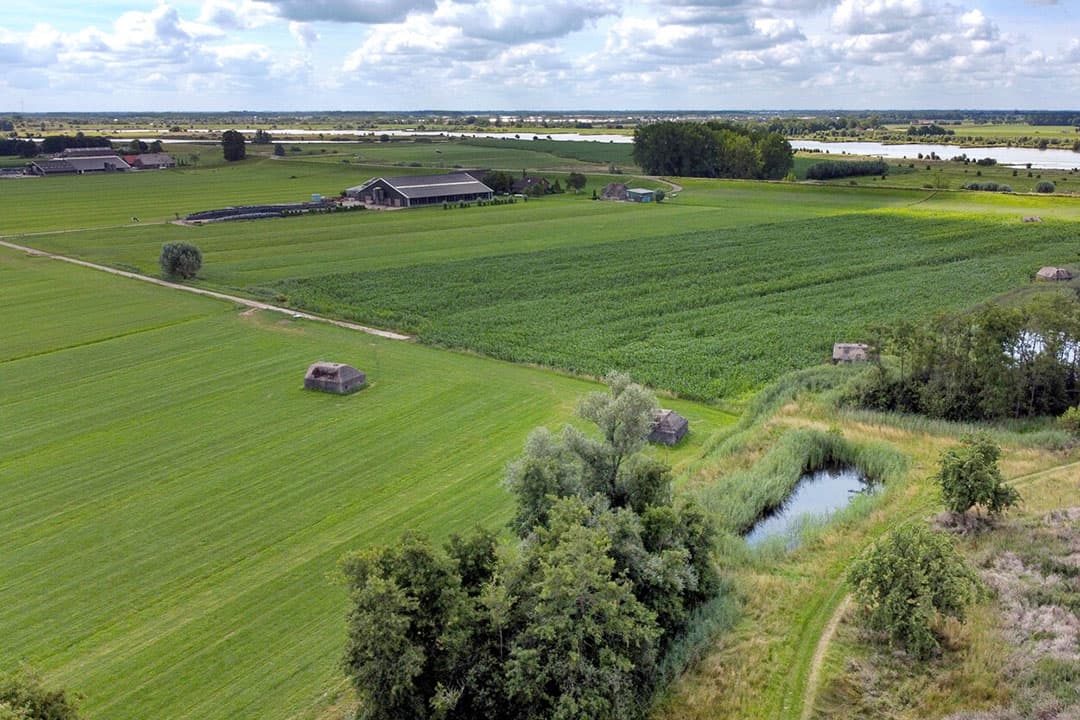 Foto: Herbert Wiggerman