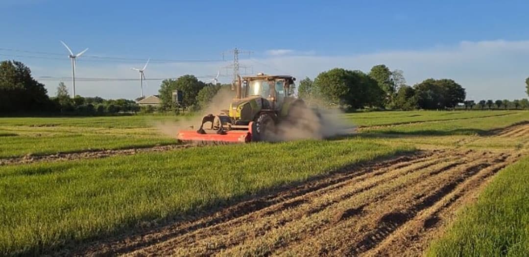400.000 bieten poten in Didam (Gld.). Bekijk de video onder dit artikel. - Foto: still uit video van J. Kurth en Bram Polman