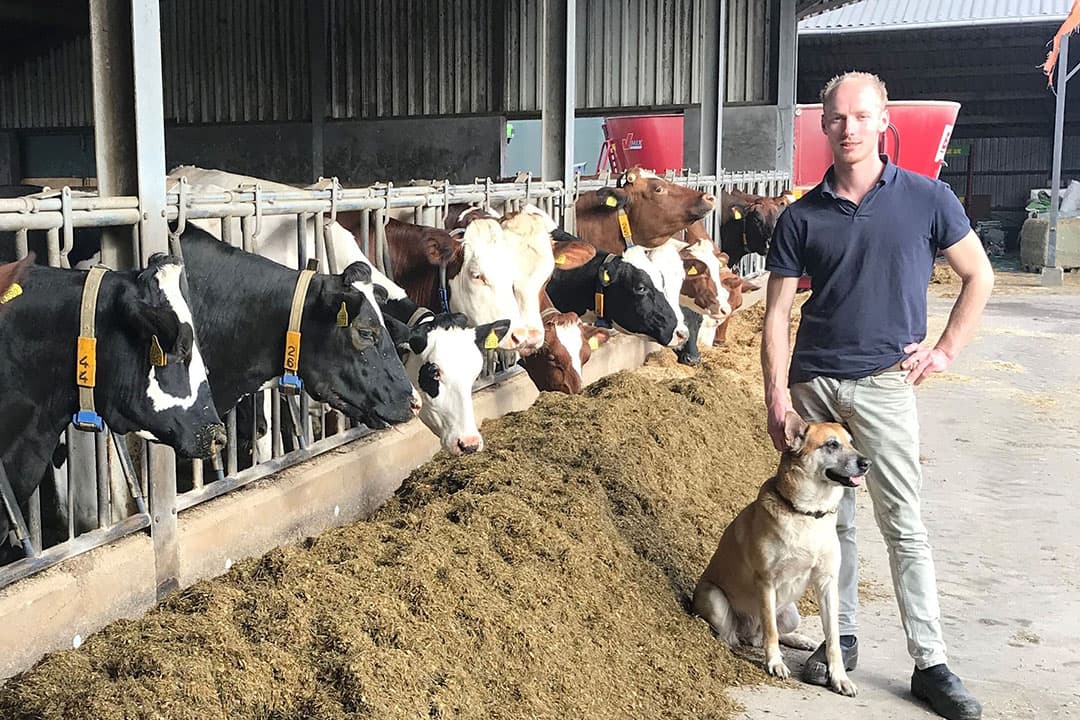Melkveehouder Nick de Werdt heeft meer inzicht gekregen in zijn voerkosten. “De sleutel voor het verlagen van de voerkosten bleek te liggen in de keuze voor bepaalde gewassen en de teelt ervan." - Foto: KWS
