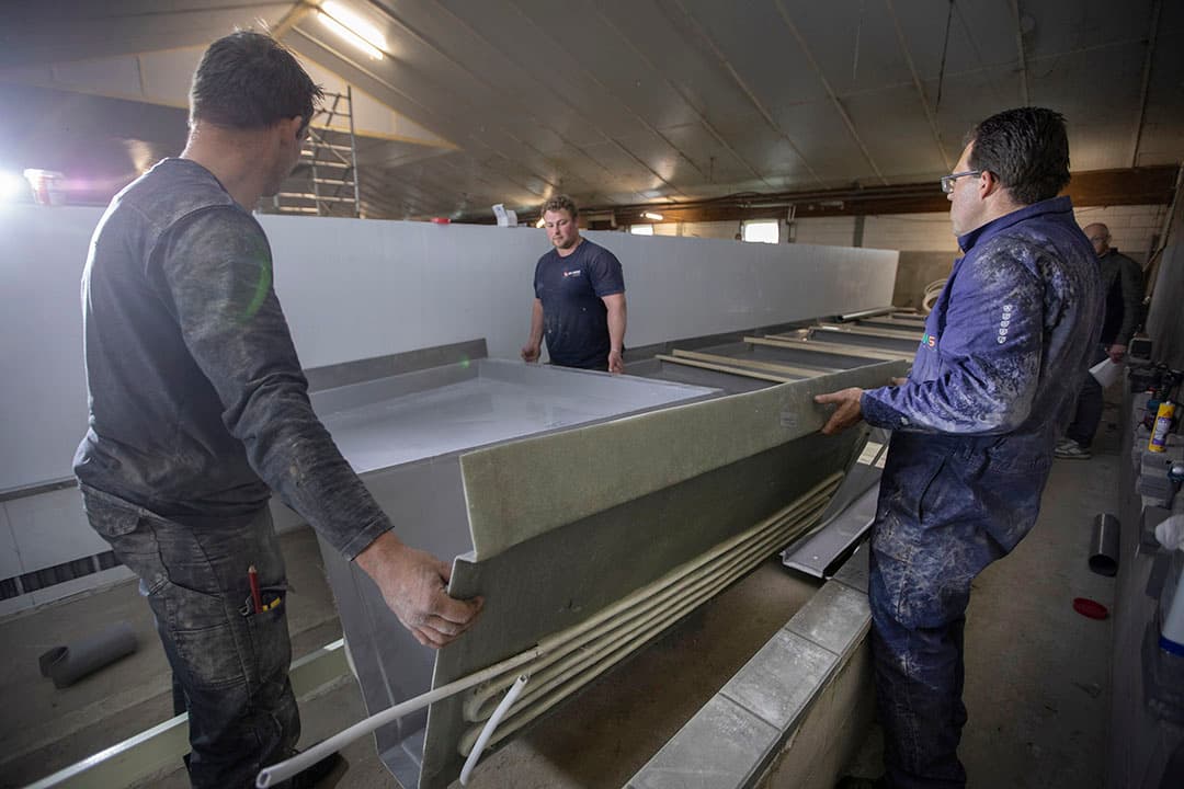 Stalinrichters monteren de gekoelde mestpannen in de toekomstige kraamstal. In totaal komen er 22 rijen kraamhokken, met elk negen zeugen. De afmeting van de eerste zeven mestpannen is 170 x 260 centimeter. De laatste twee in elke rij zijn 10 centimeter breder, zodat het geheel past binnen de stalmuren.