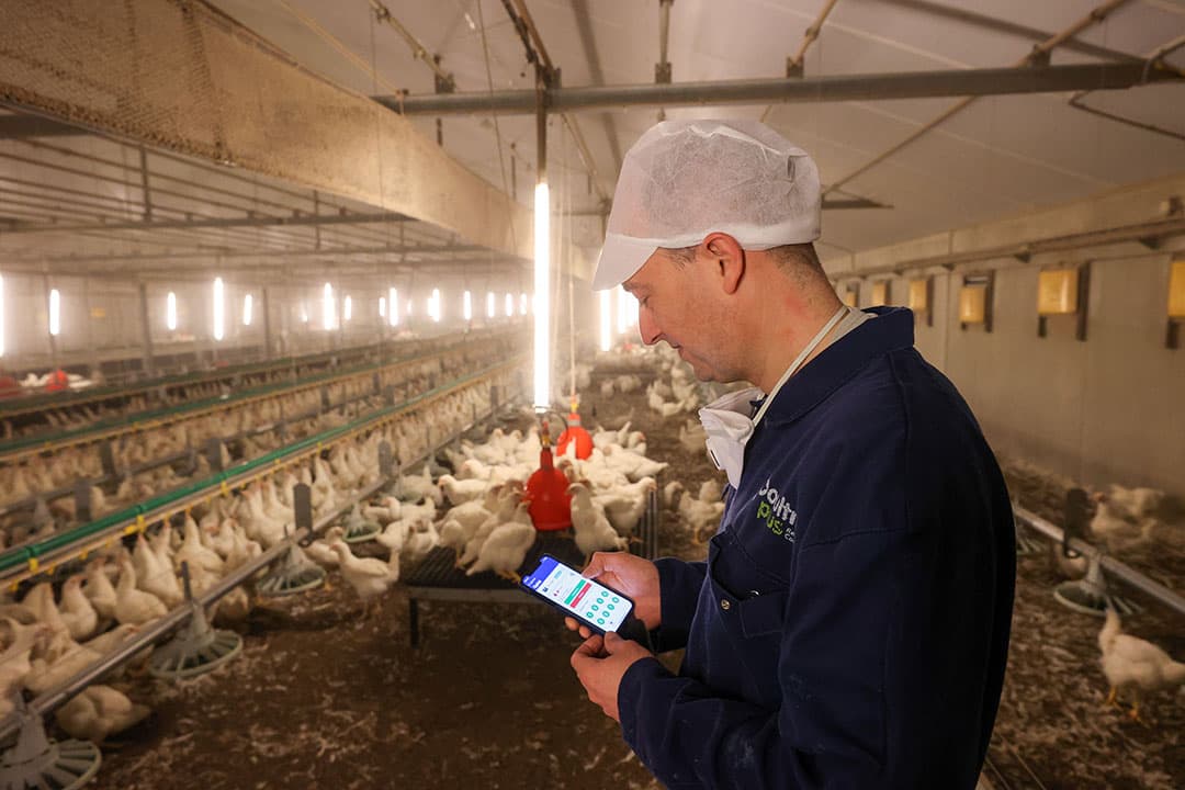 Octalarm is veruit het meest gebruikte systeem in de pluimveehouderij om bij problemen in de stal een alarmmelding te sturen naar telefoon of portofoon. Met de app zijn er meer mogelijkheden bijgekomen. - Foto: Bert Jansen