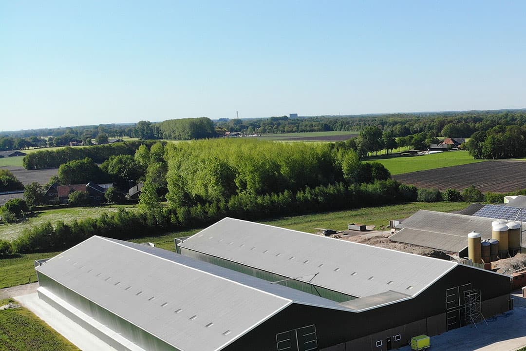 Foto: Hans Prinsen