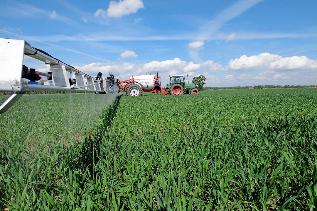 Uit onderzoek blijkt dat SDHI’s en triazolen langzaamaan minder effectief worden tegen de meeste bladschimmels. Resistentiemanagement is essentieel om middelen in granen langer te behouden. - Foto: Henk Riswick