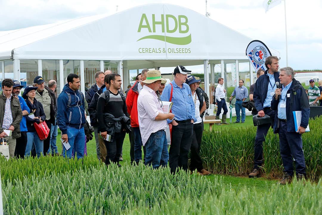 Het Britse graaninstituut licht de onderzoeksresultaten  op de graanbeurs Cereals in Groot-Brittannië toe aan telers. Door corona blijft het nu bij publicatie op de website. - Henk Riswick