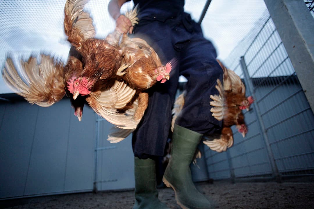 Foto: Ton Kastermans