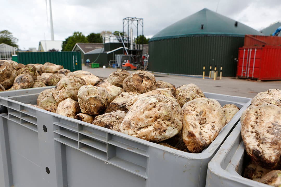 DSD heeft samen met Acrres in een kleinschalige proeffabriek in Lelystad zes jaar gewerkt aan de ontwikkeling van het zogenoemde Betaprocess. Dat leidde tot een efficiënte en rendabele bioethanolproductie. - Foto: Ton Kastermans