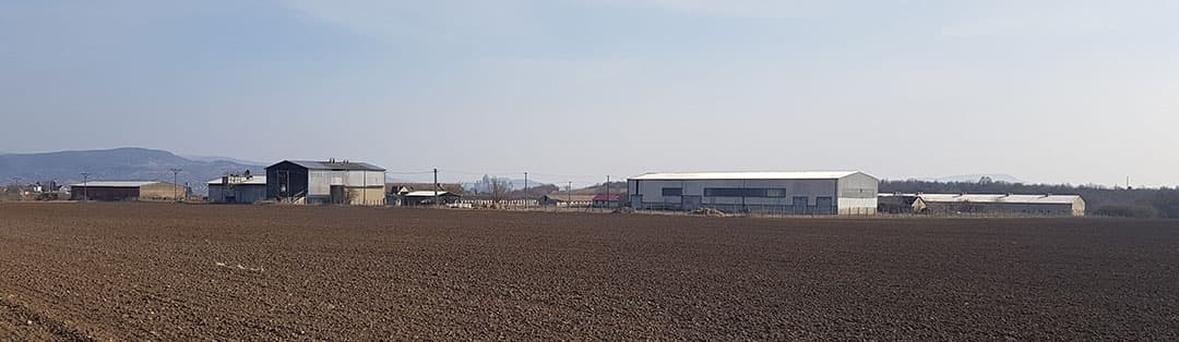 Overzicht van het bedrijf. Met 10 hectare is het erf enorm groot en zit er veel ruimte tussen de verschillende gebouwen. Een groot deel wordt niet benut maar kan wel desgewenst wel een andere functie krijgen.