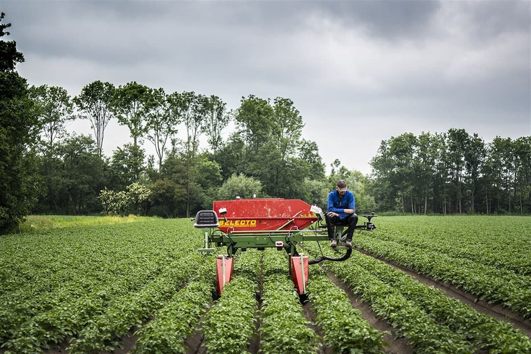 Alle telers van granen, suikerbieten en aardappelen moeten meebetalen aan het onderzoeksprogramma van BO Akkerbouw. - Foto: ANP