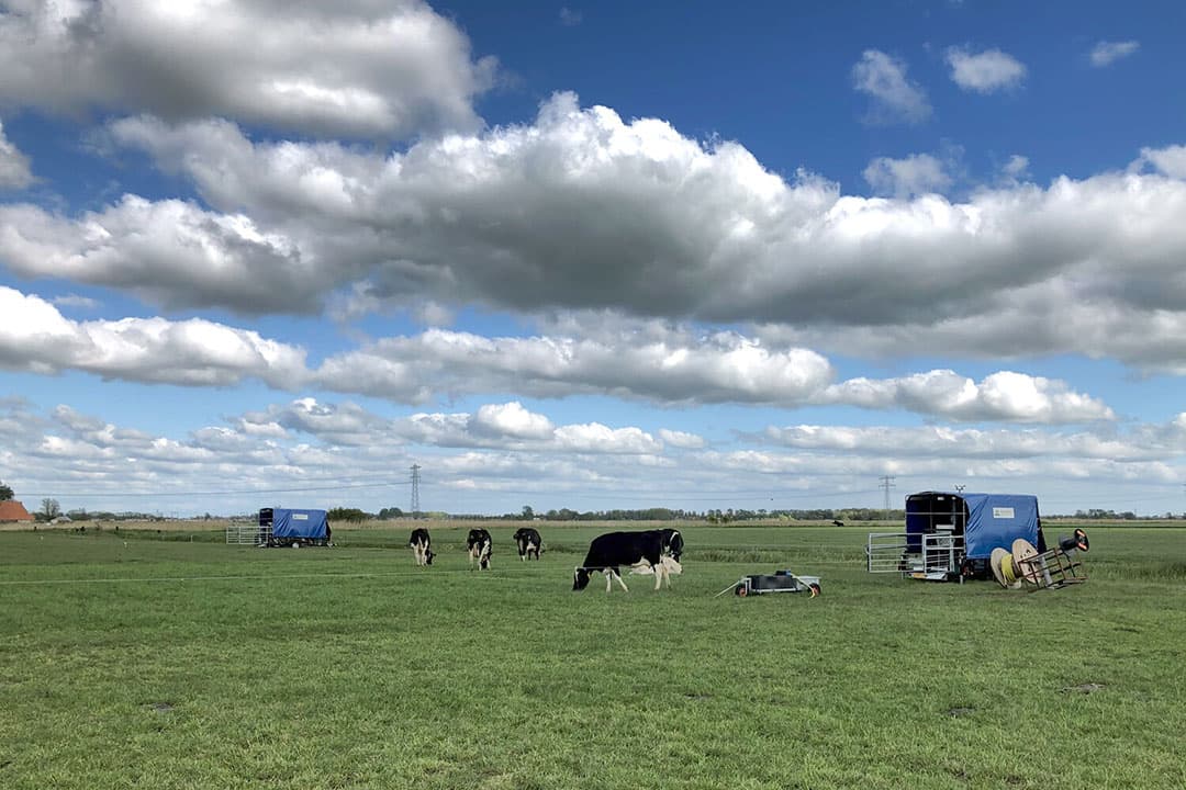 In april, juni en augustus meet Dairy Campus methaanemissies met de Green Feed Unit. Deze gasanalysetechniek heeft een geïntegreerd krachtvoerstation om koeien te lokken. - Foto: Dairy Campus