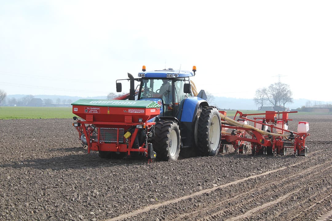 Maístelers vinden korrelopbrengst de belangrijkste eigenschap voor rassenkeuze. - Foto: KWS