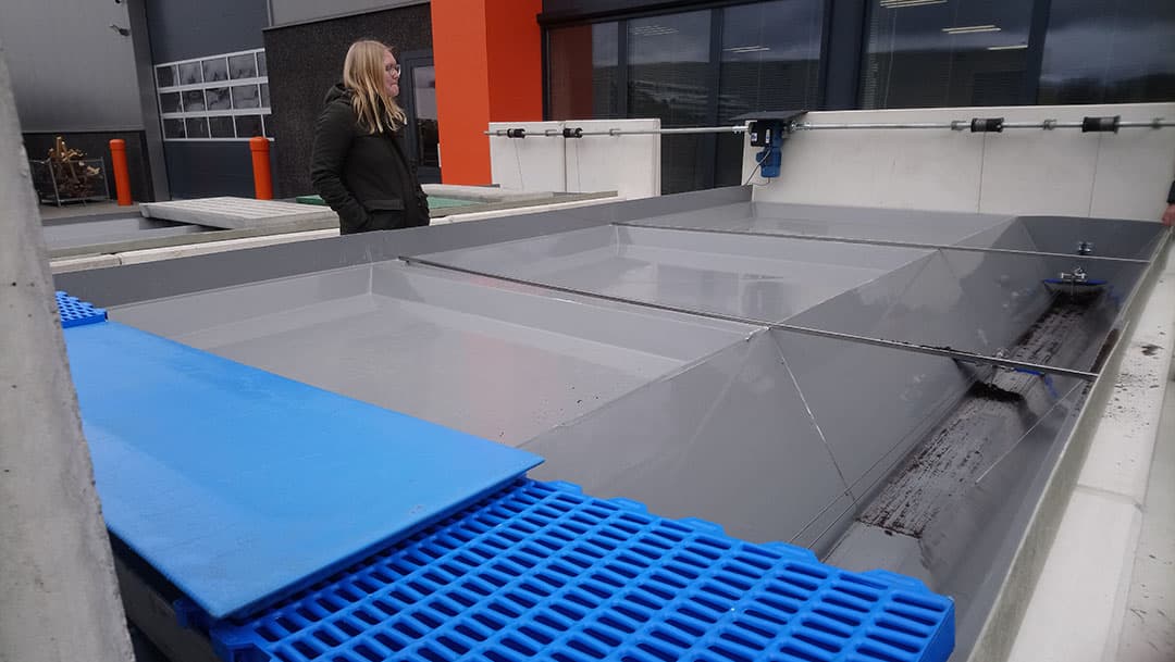 De mestgoot voor onder een kraamshok. Dit is de DuoSep-k met klepel dus om de mest uit de goten te schuiven.