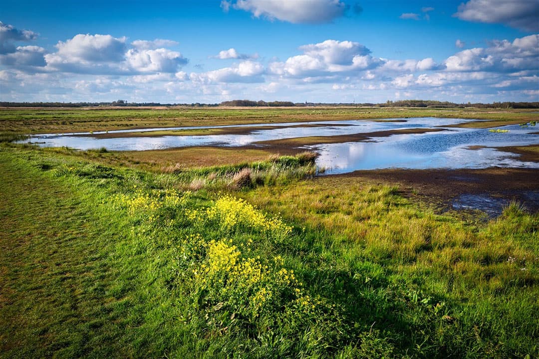 Natuurgebied bij Tienhoven valt onder Natura 2000. - Foto: ANP