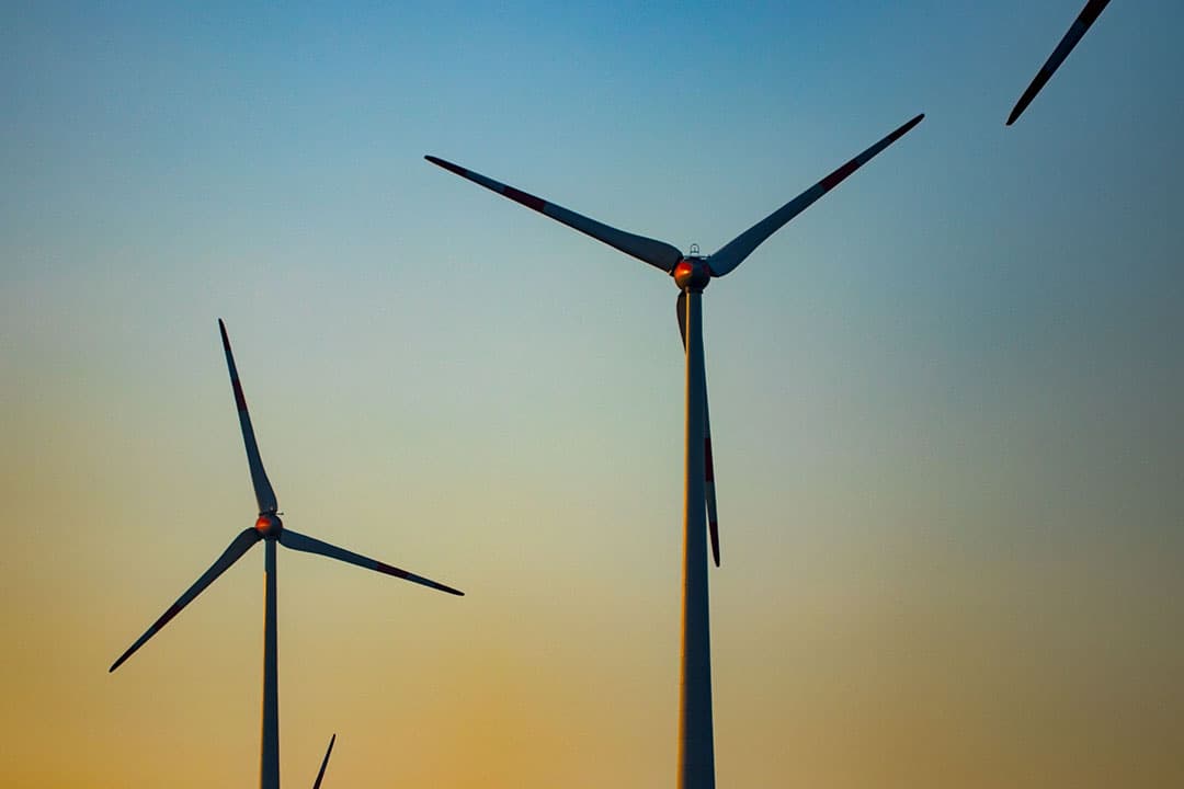 Het Klimaatfonds gaat bedrijven financieren die zich inzetten voor duurzame landbouw en landgebruik en zo uitstoot reduceren op hun bedrijf. Foto: ANP