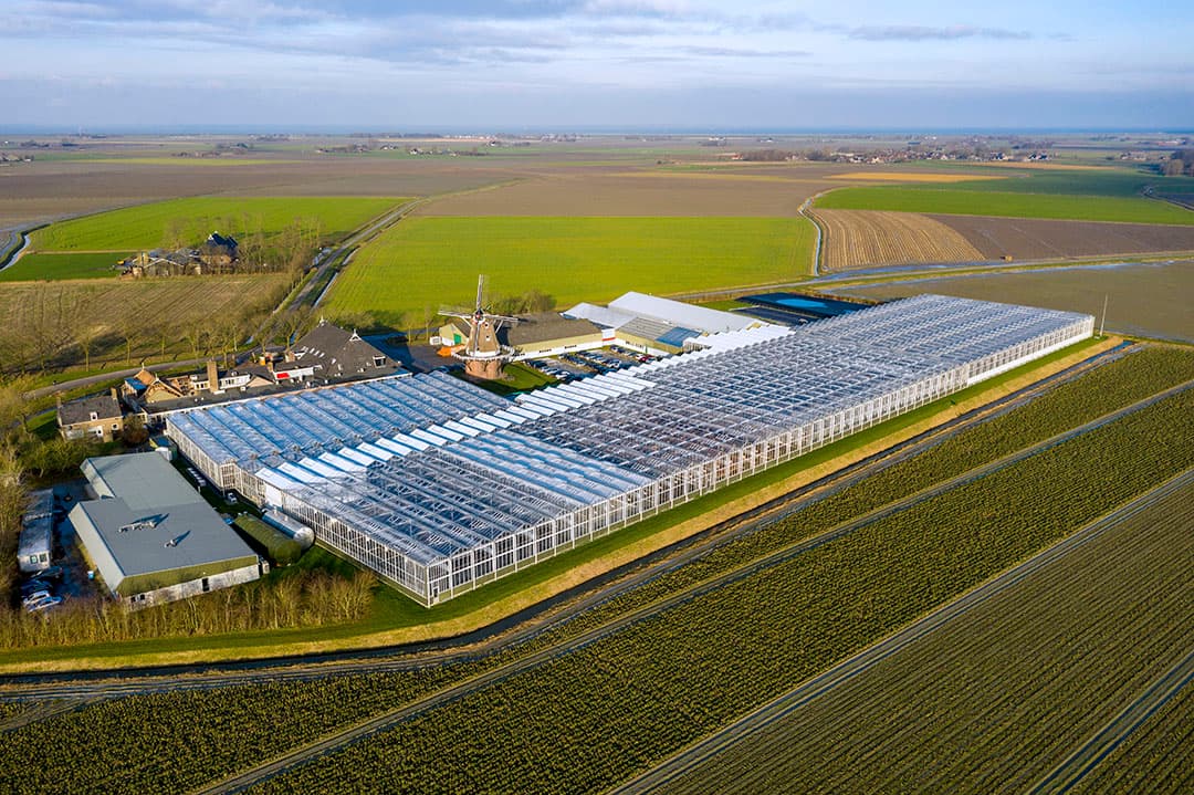 Het HZPC-kweekbedrijf in Metslawier (Fr). - Foto: Ruud Ploeg