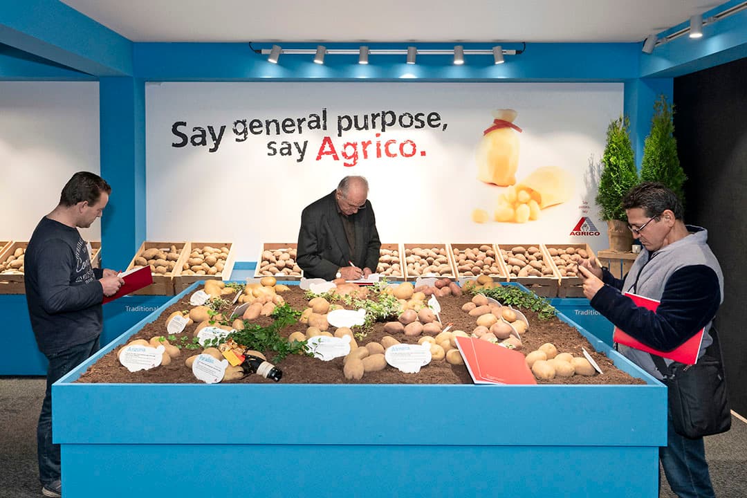 Vóór de coronacrisis presenteerde Agrico de aardappelrassen op een rassenshow. Foto: Ruud Ploeg