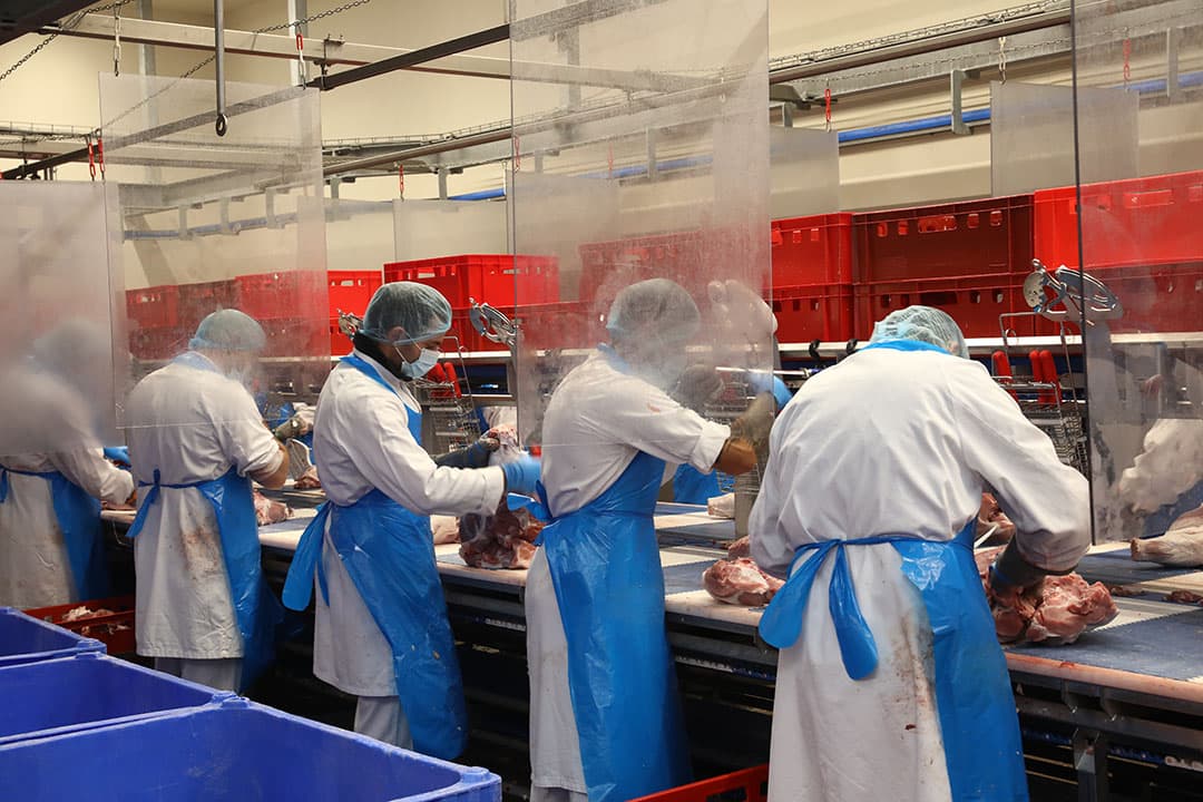 Rabobank voorziet vooral prijsdruk op de varkensmarkt in Nederland en Duitsland. - Foto: Henk Riswick