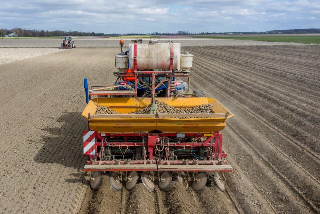 Bij akkerbouwbedrijf Maatschap Hospers in Nagele (Fl.) poot zoon Harmjan Hospers het laatste perceel met het zetmeelaardappelras Festien als pootgoed. Na dit ras gaat hij verder met Agria’s. - Foto’s: Sytze Bakker