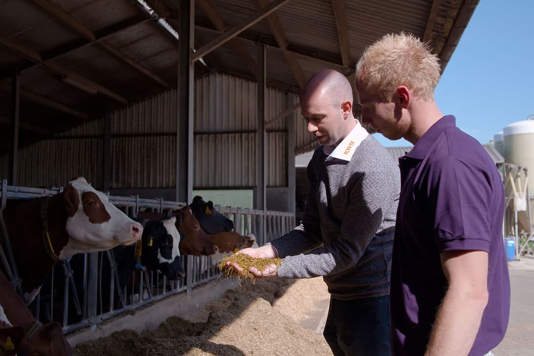 Tim van Houten, SEED2FEED-adviseur van KWS, legt uit wat het systeem SEED2FEED voor het optimaliseren van veevoeding, rantsoen en gewas inhoudt. - Foto: KWS