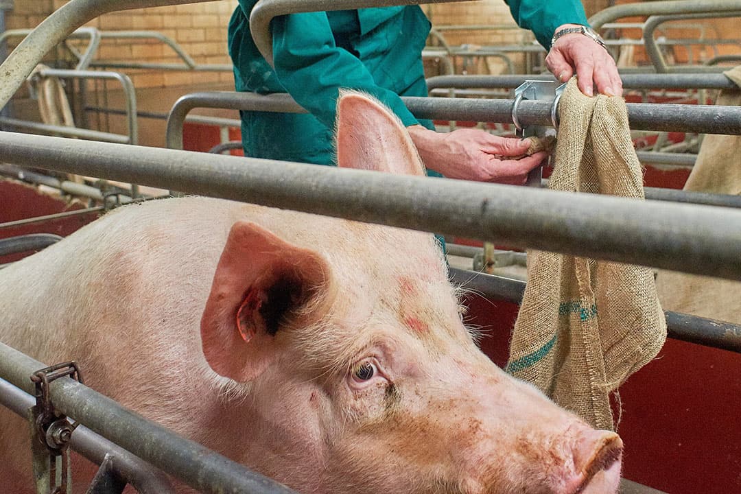 Foto: Van Assendelft Fotografie