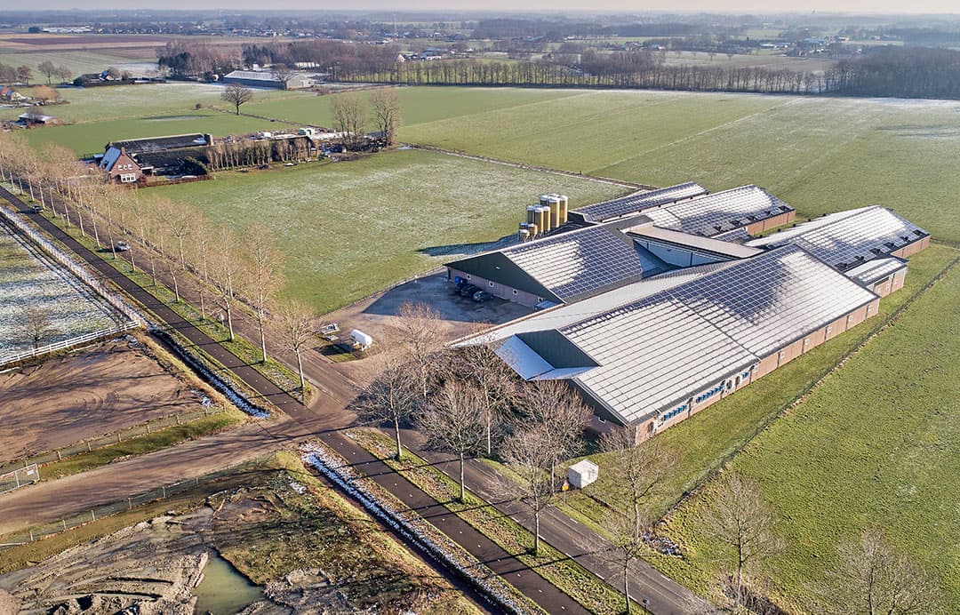 Een te koop staand varkensbedrijf in het oosten van de provincie Noord-Brabant. Voor goede locaties zijn nog altijd kopers te vinden. - Foto: Van Assendelft