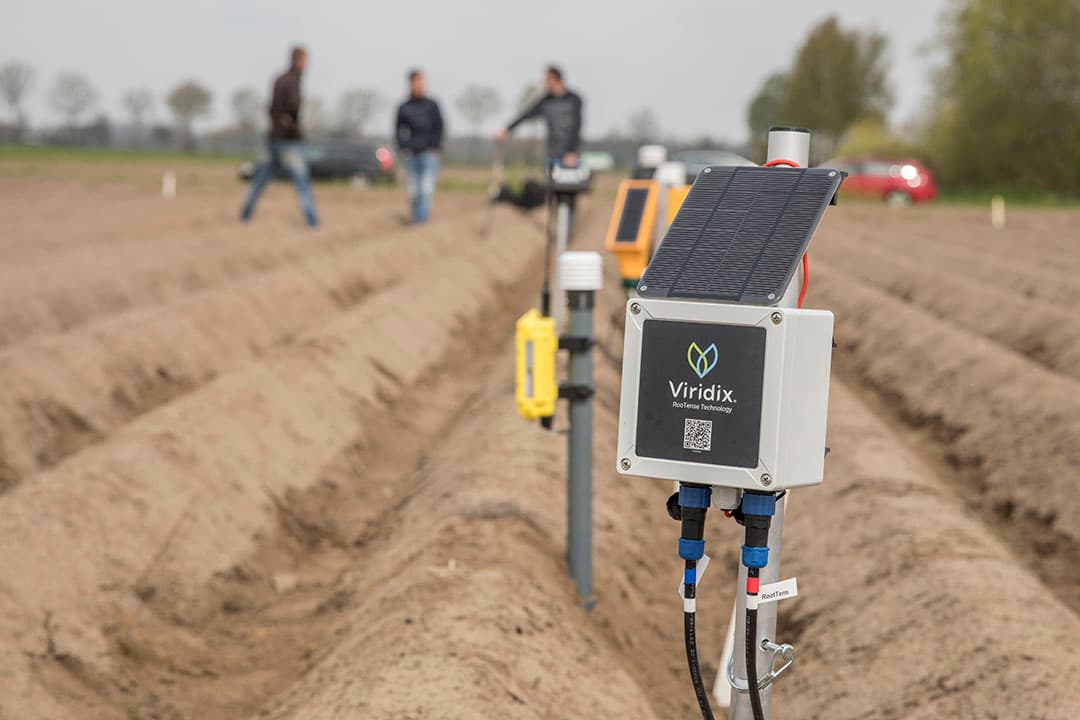 Installatie in een aardappelperceel in Wageningen van negen verschillende vochtsensoren voor vergelijking. - Foto: Koos Groenewold