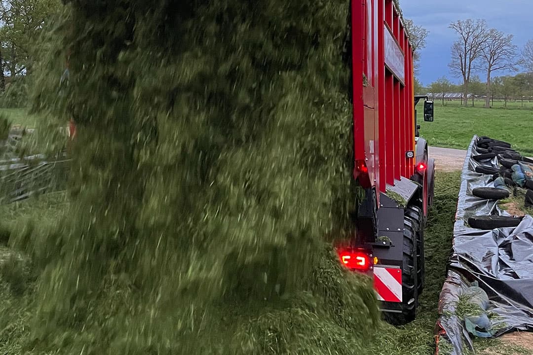 Zo'n 75% van de veehouders heeft afgelopen weken gras in de kuil gedaan. - Foto: Martijn ter Horst